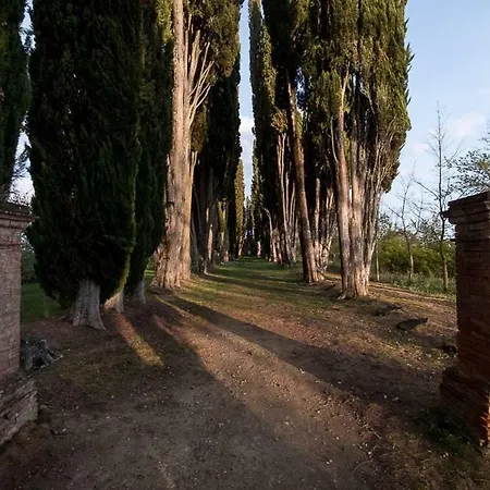 La Tinaia Del Serraglio *